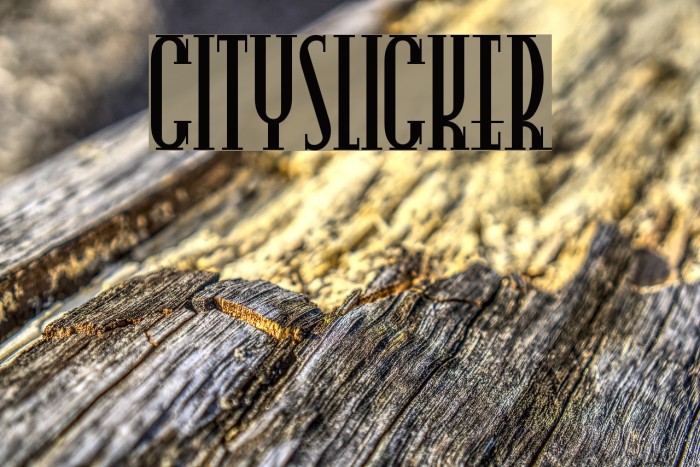 CitySlicker Font examples