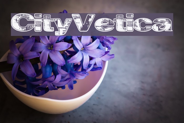 CityVetica Font examples