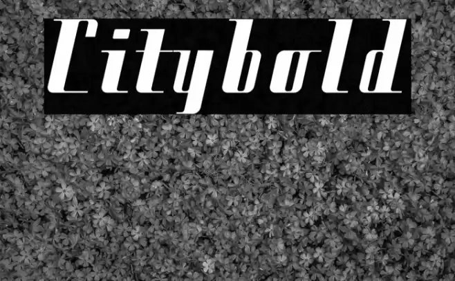 Citybold Font examples
