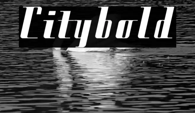 Citybold Font examples