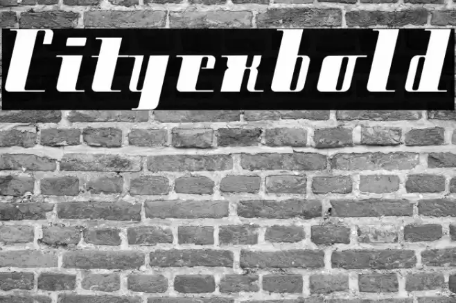 Cityexbold Font examples