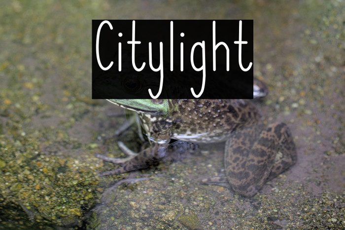 Citylight Example 1