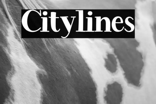 Citylines Caratteri examples