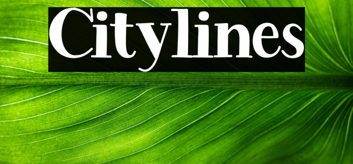 Citylines Example 3