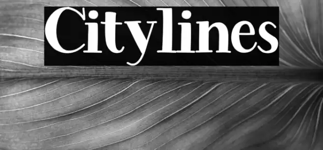 Citylines Caratteri examples