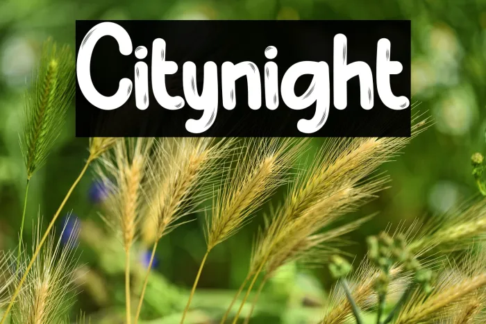 Citynight Example 2