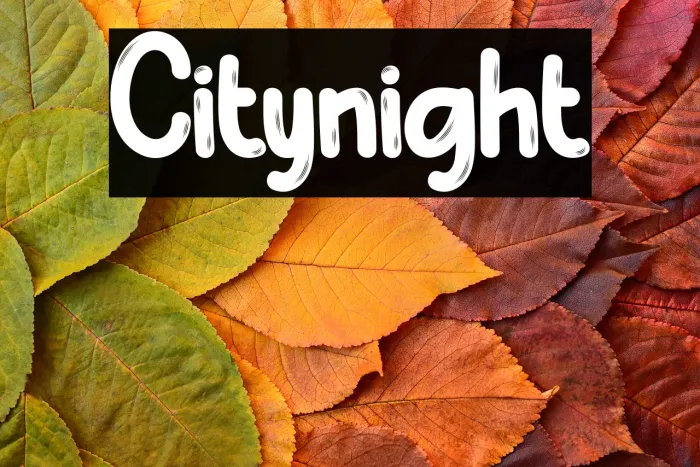 Citynight Example 3