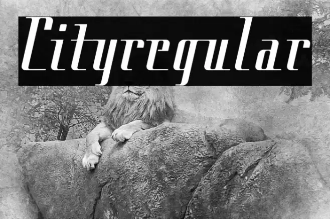 Cityregular Font examples