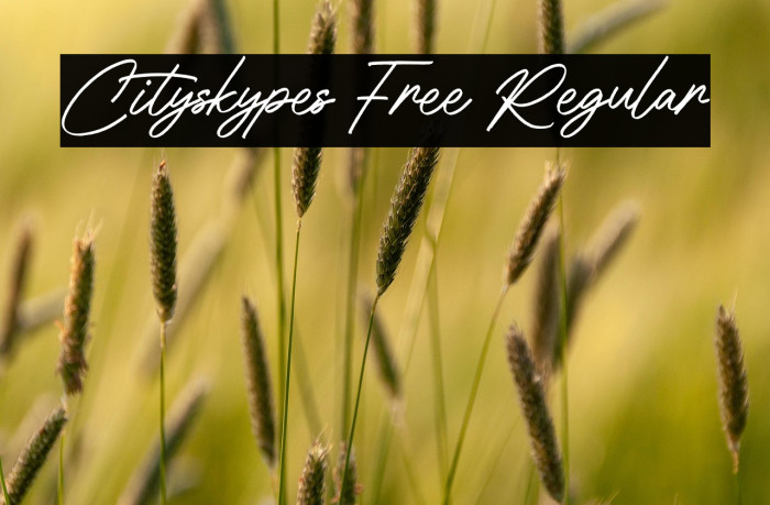 Cityskypes Free Regular Example 1