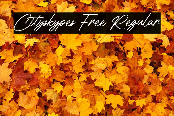 Cityskypes Free Regular Example 3