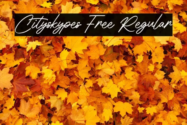 Cityskypes Free Regular Example 3