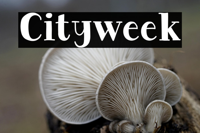 Cityweek Example 2