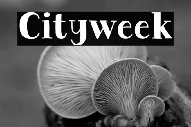 Cityweek Caratteri examples