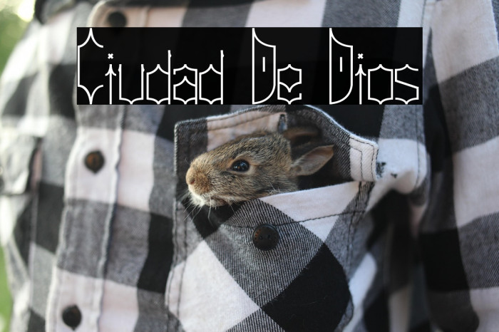 Ciudad De Dios Example 3