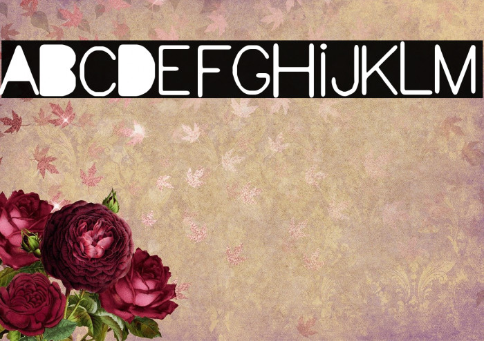 Ciudad Meridiana Example 1