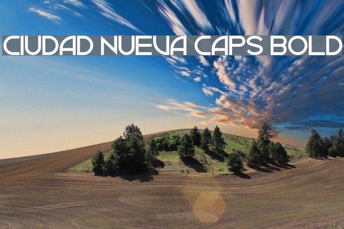 Ciudad Nueva CAPS Bold Font examples