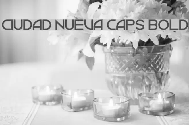 Ciudad Nueva CAPS Bold Font examples