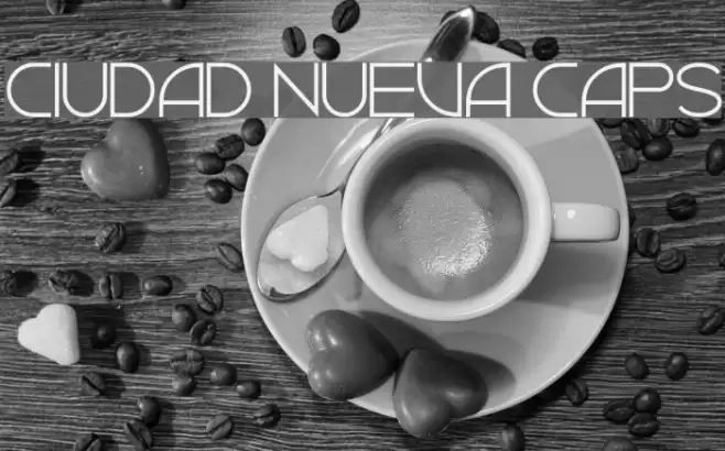 Ciudad Nueva CAPS Font examples