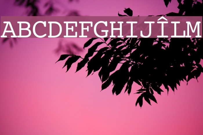 Ciula Font examples