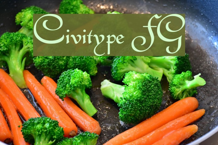 Civitype FG Example 2