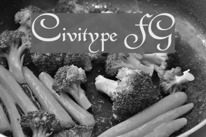 Civitype FG Font examples