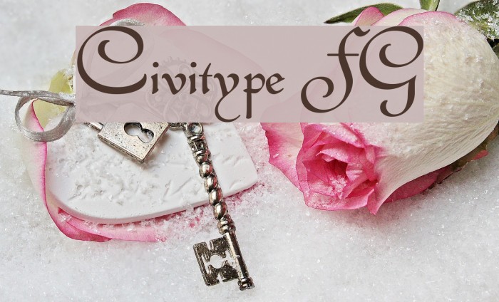 Civitype FG Example 3