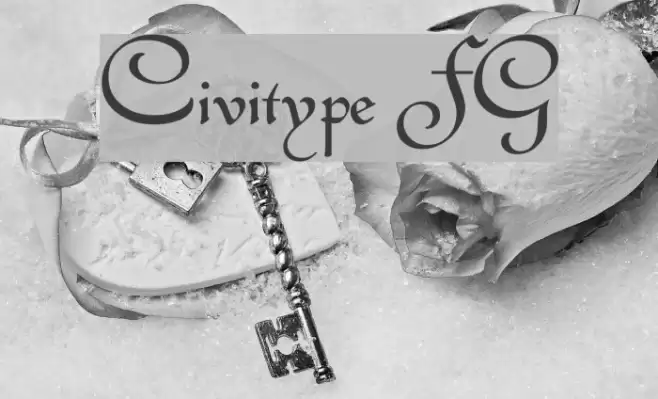 Civitype FG Font examples