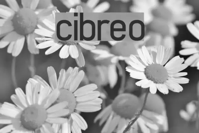 cibreo Font examples