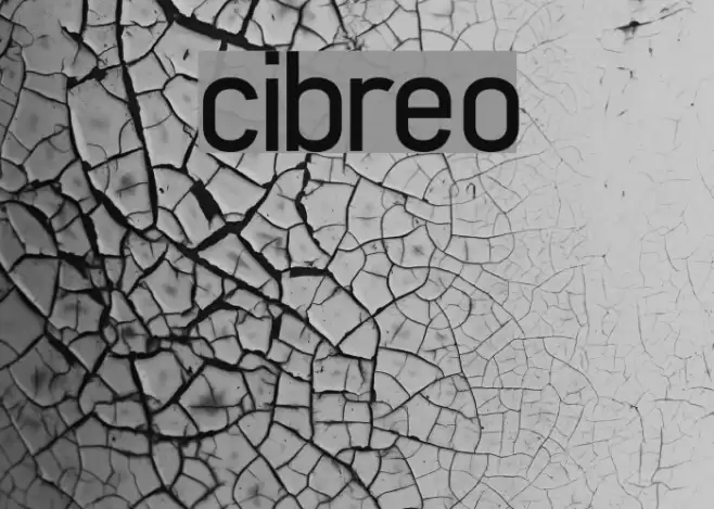 cibreo Font examples