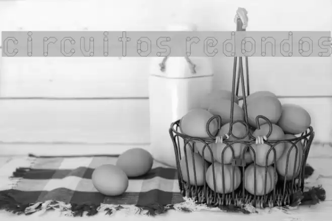 circuitos redondos Schriftart examples