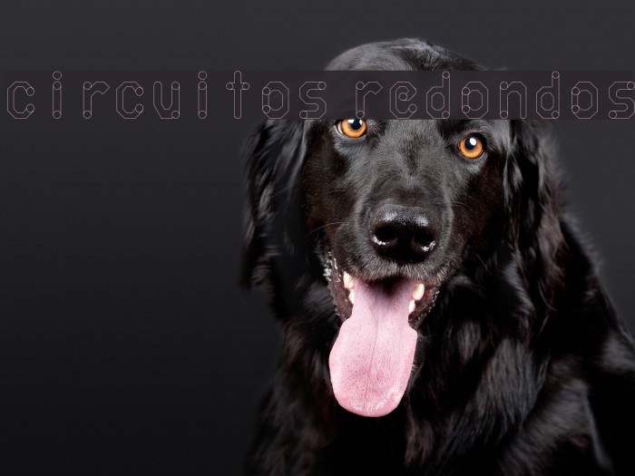 circuitos redondos Font examples