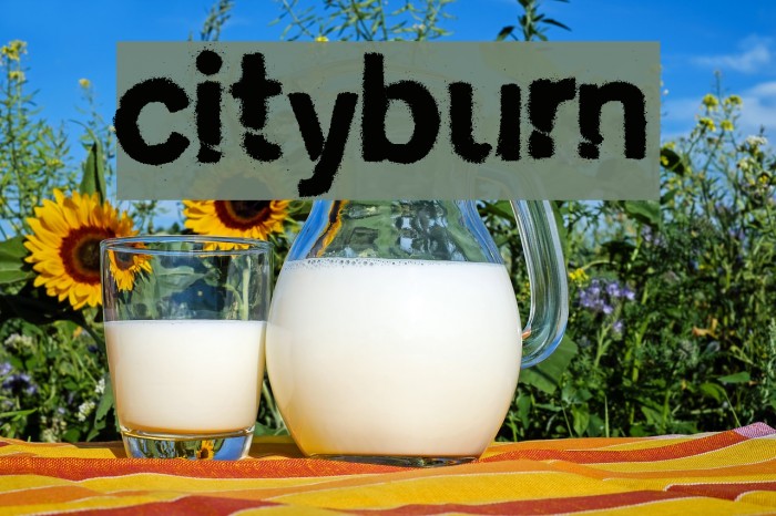 cityburn Polices examples