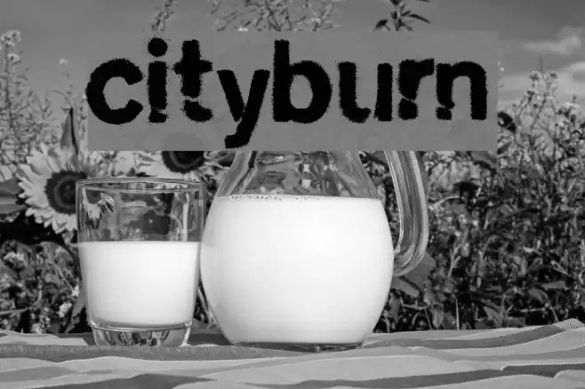 cityburn Polices examples