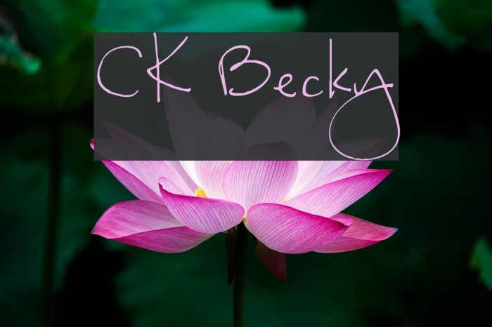 CK Becky Schriftart examples