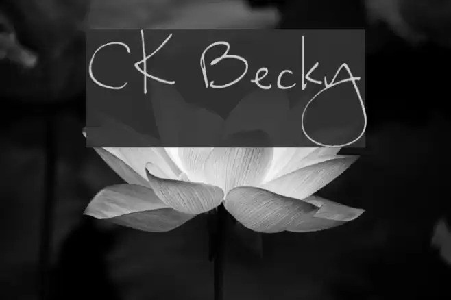 CK Becky Font examples