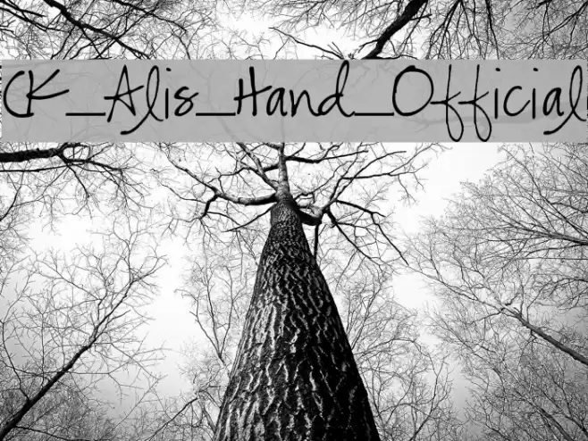 CK_Alis_Hand_Official Font examples
