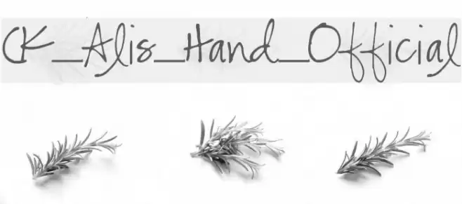 CK_Alis_Hand_Official Font examples