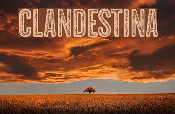 CLANDESTINA Font examples