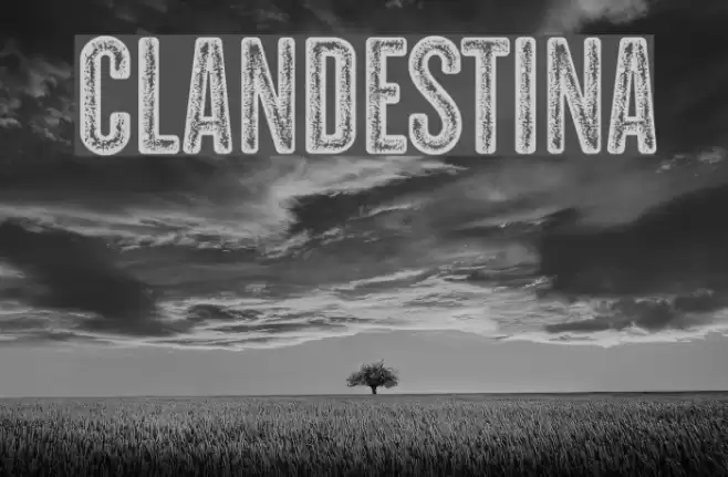 CLANDESTINA Schriftart examples