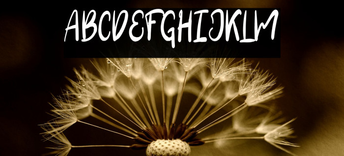 CLARRA Demo Font examples