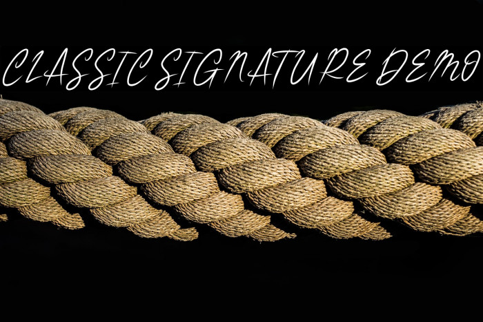 CLASSIC SIGNATURE DEMO Example 1