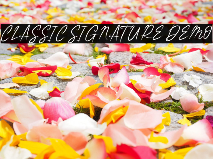CLASSIC SIGNATURE DEMO Example 3