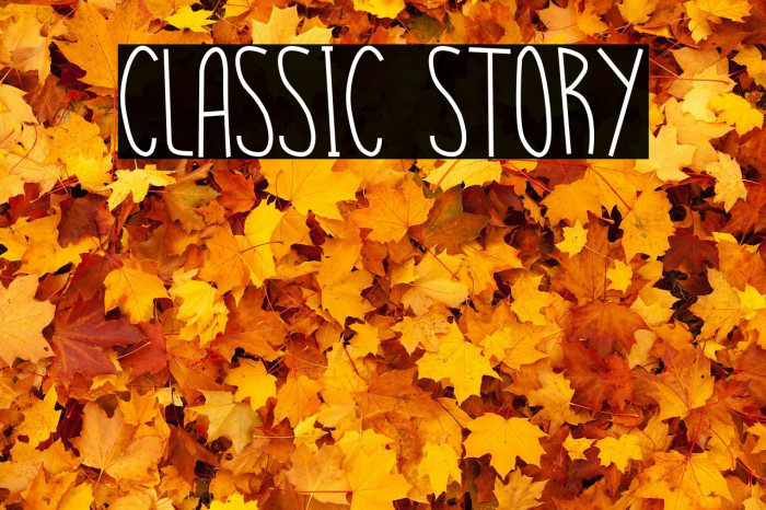 CLASSIC STORY Example 2