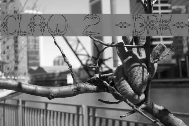 CLAW 2 -BRK- Font examples