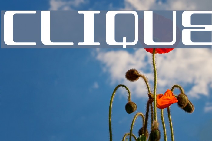 CLIQUE Font examples