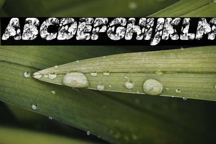 CLOUDSKY ITALIC PERSONAL USE Bold Italic Example 2