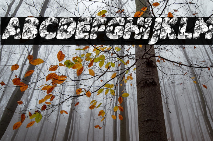 CLOUDSKY ITALIC PERSONAL USE Bold Italic Example 3