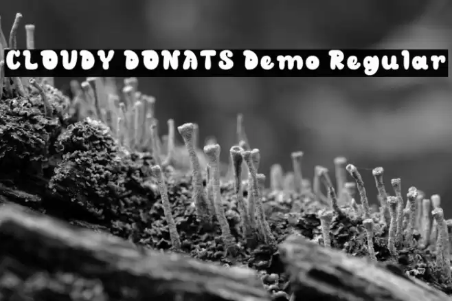 CLOUDY DONATS Demo Regular Font examples