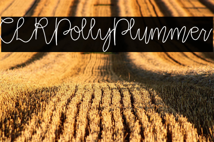 CLRPollyPlummer Example 1