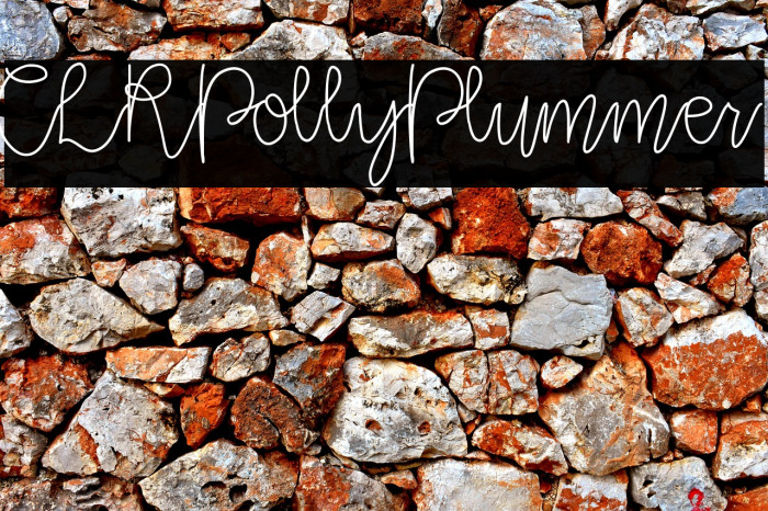 CLRPollyPlummer Example 2